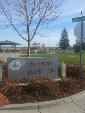 Sonora Park - Rocklin, CA.jpg