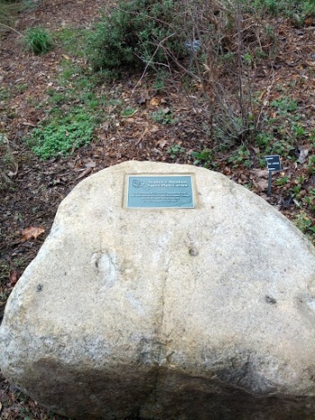 Barnhart Garden - Santa Rosa, CA.jpg