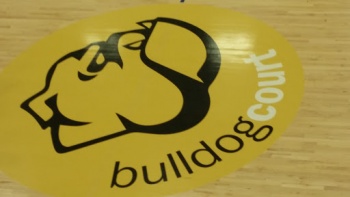 Bull Dog Court - Provo, UT.jpg