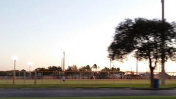 Mills Pond Park Softball Field - Wilton Manors, FL.jpg