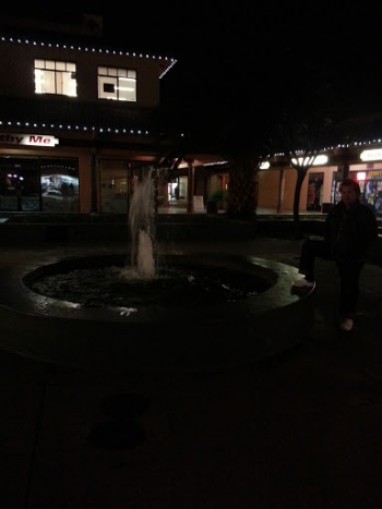 Asian Quarter - San Jose, CA.jpg