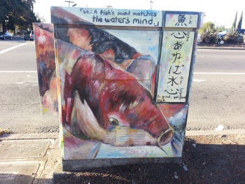 Koi Fish - Hayward, CA.jpg