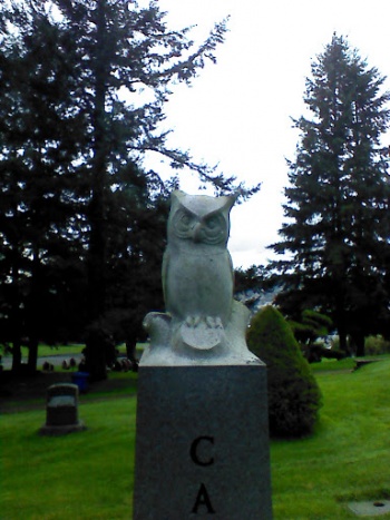 The Owls are not What They Seem - Renton, WA.jpg