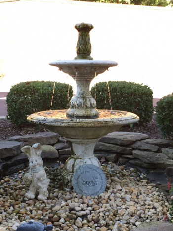 Dixon's Clogged Fountain - Raleigh, NC.jpg