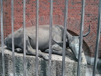 Eiserner Stier - München, BY.jpg