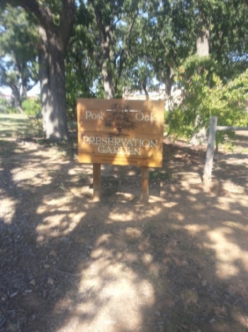 Post Oak Preservation Garden - Denton, TX.jpg