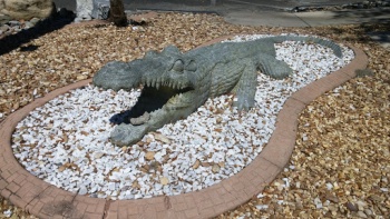 Gator Statue - Gainesville, FL.jpg