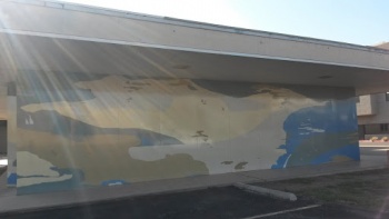 Map Mural - Lubbock, TX.jpg