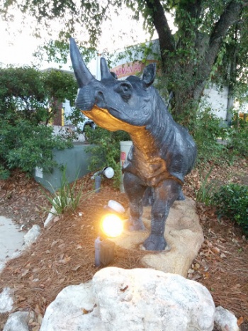 The Rhino - Tallahassee, FL.jpg