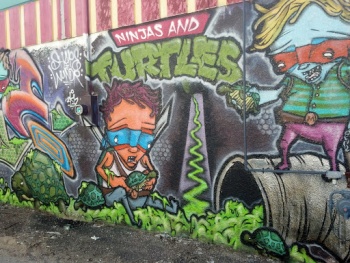 Ninjas and Turtles - Minneapolis, MN.jpg