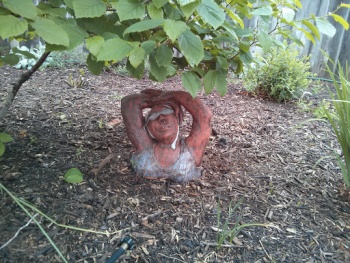 Trapped Swimmer - Springfield, MO.jpg