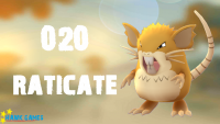 020 Raticate.png