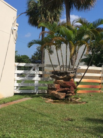 Stone Fountain with Palms - Pompano Beach, FL.jpg
