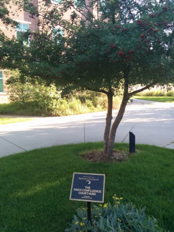 The Hach Confluence Courtyard - Greeley, CO.jpg