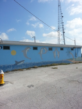 Shark Dinner Mural - Clearwater, FL.jpg