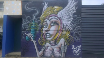 Space Valkyrie Mural - New Farm, QLD.jpg