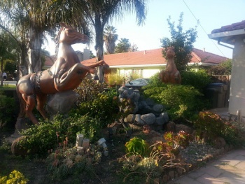 Horses in San Jose - San Jose, CA.jpg