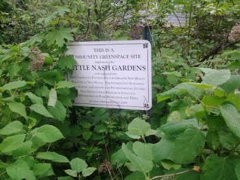 Little Nash Gardens - New Haven, CT.jpg