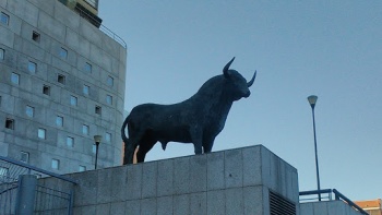 Bull Statue - Madrid, Comunidad de Madrid.jpg