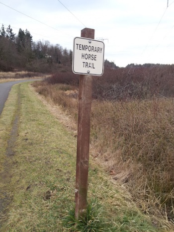 Temporary Horse Trail - Kent, WA.jpg