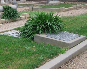 Elitha Cumi Donner - Wilder - Elk Grove, CA.jpg