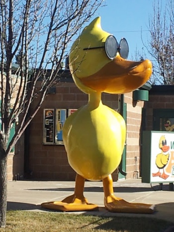 Quacktastic Duck - Colorado Springs, CO.jpg
