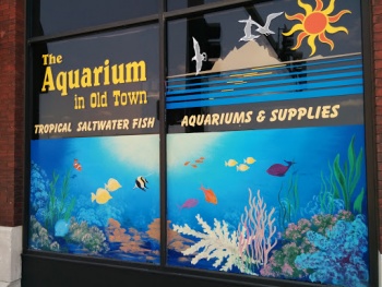 Old Town Suites Mural - Wichita, KS.jpg
