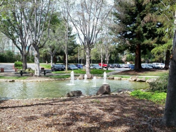 Meru Fountains - Sunnyvale, CA.jpg