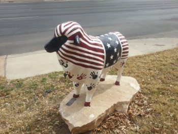 EWE've Got Mail - San Angelo, TX.jpg