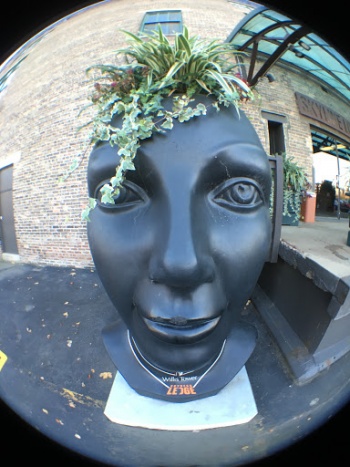 Head Sculpture - Chicago, IL.jpg