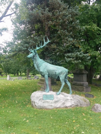 Elks Rest - Syracuse, NY.jpg