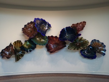 Glass Shells - Irving, TX.jpg