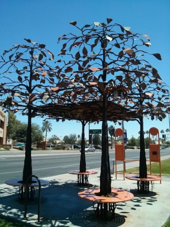 Tree Bus Stop of Light - Tempe, AZ.jpg