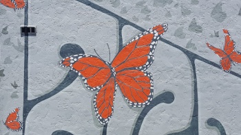 Vita Art Center Butterfly Mural - Ventura, CA.jpg