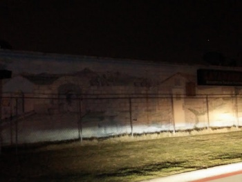 Wall Mural at Lavanderia - Irving, TX.jpg