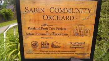 Sabin Community Orchard - Portland, OR.jpg