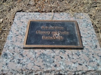 Barraclough Family - Plano, TX.jpg
