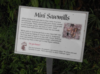 Mini Sawmills Board - Singapore, Singapore.jpg