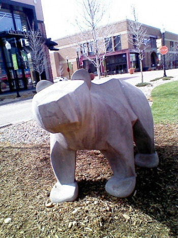 Bears at Play - Denver, CO.jpg