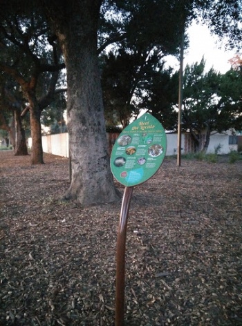 Native Plants To San Gabriel Valley - El Monte, CA.jpg