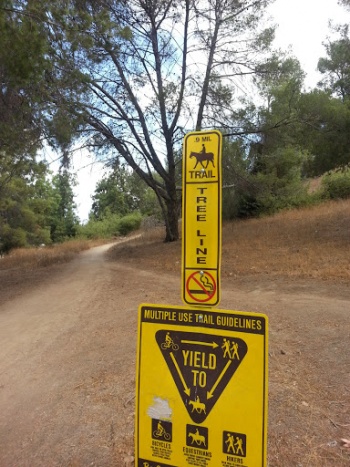 Tree Line Trailhead - San Dimas, CA.jpg