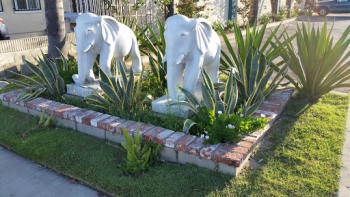 Dual Elephant Entrance Statues - Garden Grove, CA.jpg