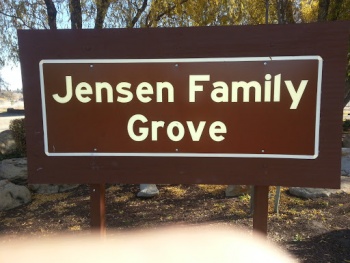 Jensen Family Grove - Antioch, CA.jpg
