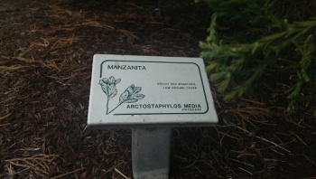 Manzanita - Renton, WA.jpg