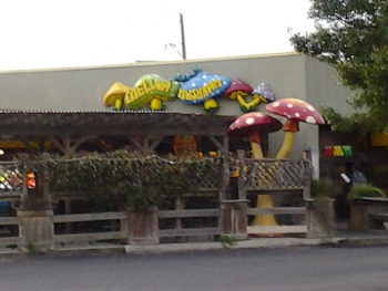 Mellow Mushroom - Wilmington, NC.jpg