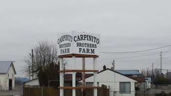 Carpinito Brothers Farm - Kent, WA.jpg