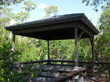 Doggy Rest Stop - Wilton Manors, FL.jpg
