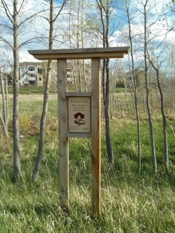Ross Natural Area Wetland - Fort Collins, CO.jpg