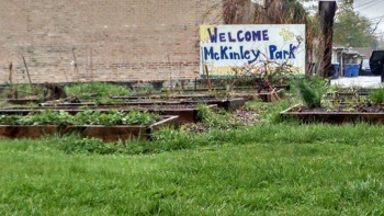 McKinley Park Community Garden - Chicago, IL.jpg