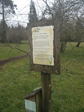 Madison Meadow - Eugene, OR.jpg